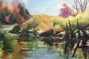 RobinKnox/Muskrat River Fall